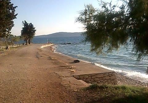 Apartments Helena Bibinje Dış mekan fotoğraf
